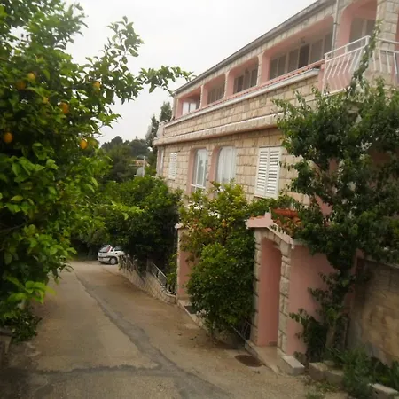 Danko * برنا